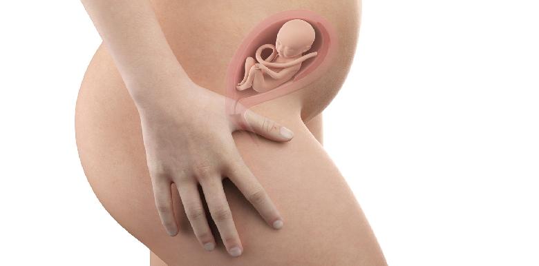Bébé in utero : semaine 20 (SA 22)