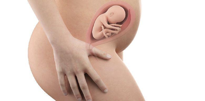 Bébé in utero : semaine 23 (SA 25)