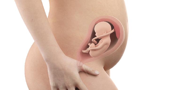 Bébé in utero : semaine 25 (SA 27)