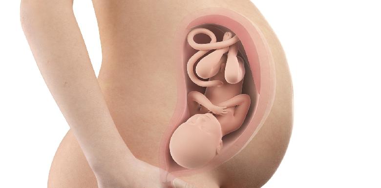 Bébé in utero : semaine 37 (SA 39)