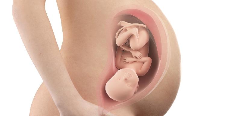 Bébé in utero : semaine 39 (SA 41)